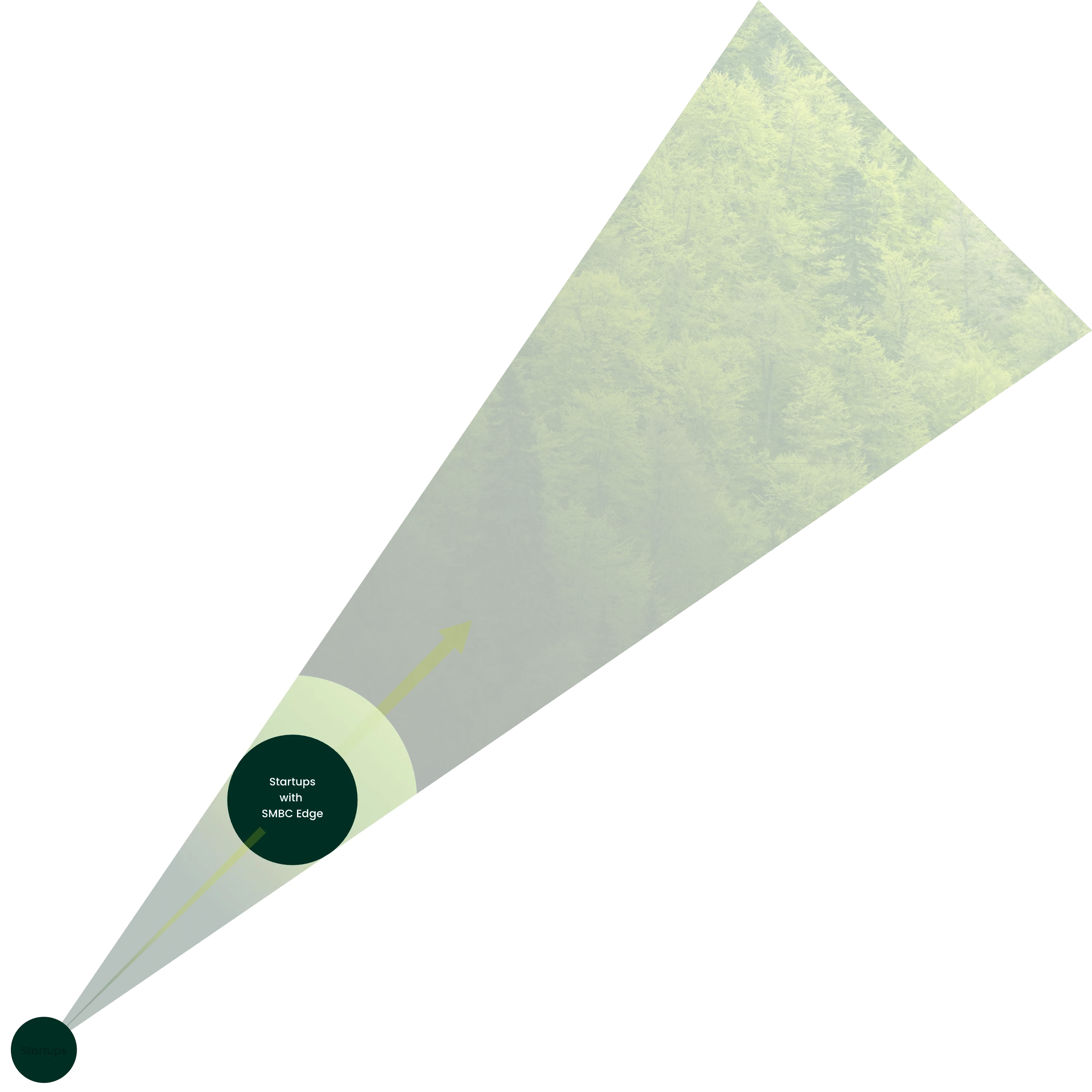 スタートアップエコシステムの構築