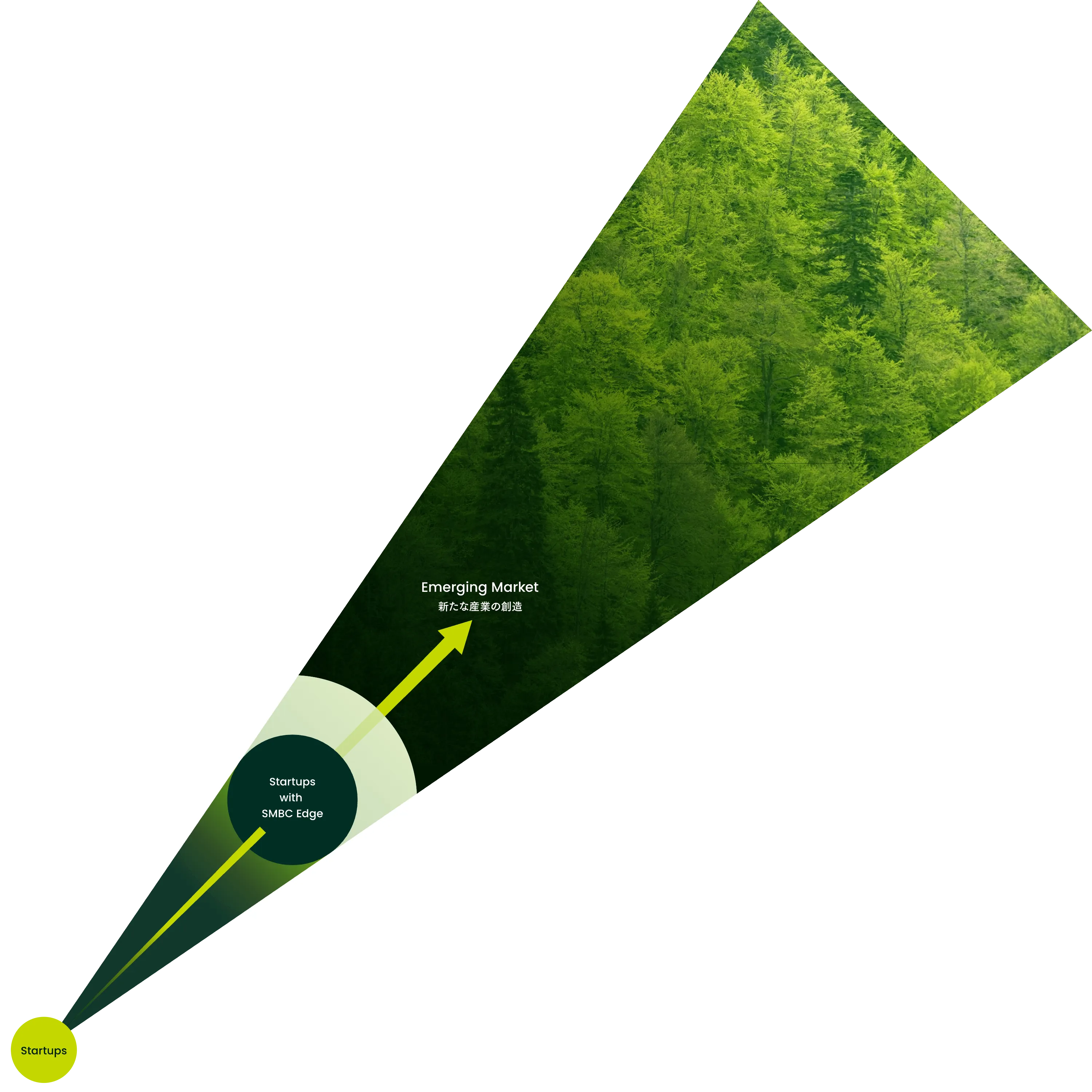 新たな産業の創造